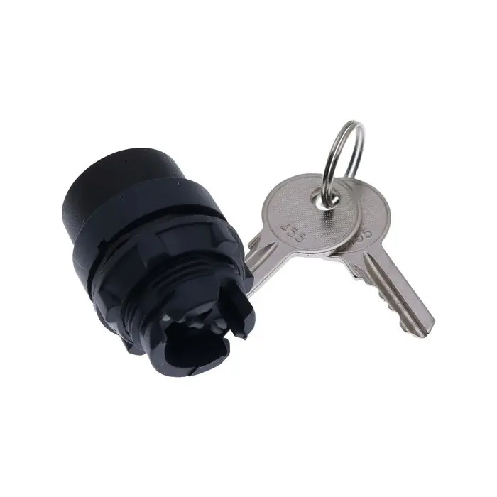 3 Position Key Switch 66811GT for Genie GR-08 GR-12 GR-15 GS-2046 GS-2646 GS-2668 GS-3246 GS-3268 GS-3384 GS-3390 GS-4390 GS-5390 sale