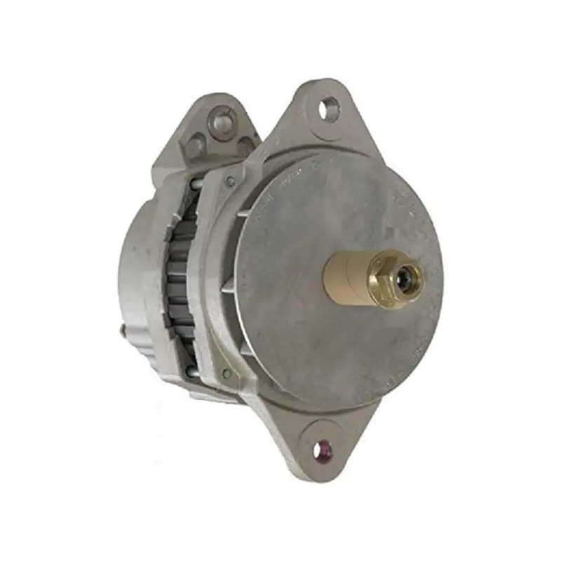 Alternator 19020309B for Delco Remy in USA