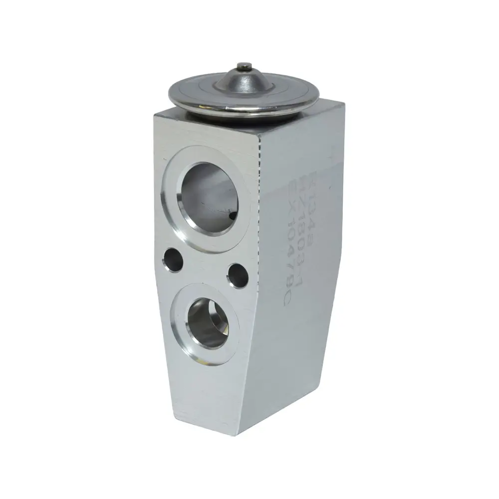 Expansion Valve C8OZ19849A for Ford Truck F-150 F-250 F-350