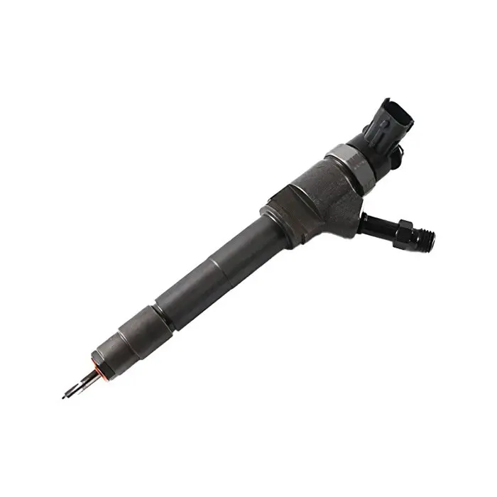 Fuel Injection 0445110250 for Ford WLC WL3