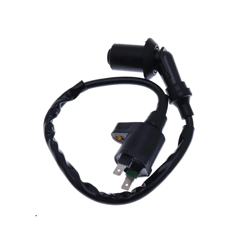 Buy Ignition Coil 150cc 50cc GY6 Scooter ATV Moped Chinese for Honda TRX250 TRX300 TRX350 TRX400FW TRX450FW XL250 XL350 XL600