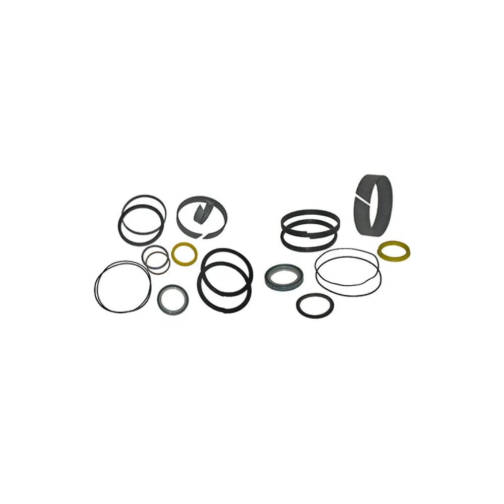 Main Valve Seal Kit For Case CX75