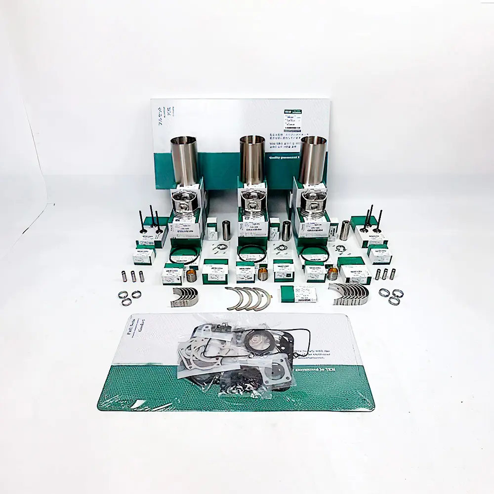 Overhaul Rebuid Kit for Yanmar Engine 3TNE66KC