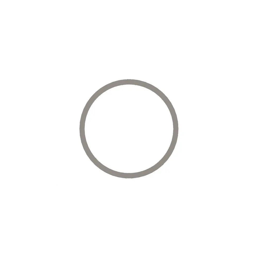 Shim 2899693 for Cummins Engine