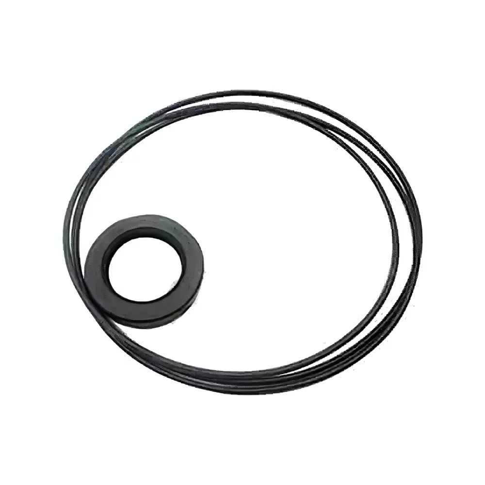 Swing Motor Seal Kit 4330219 For Hitachi EX120-2