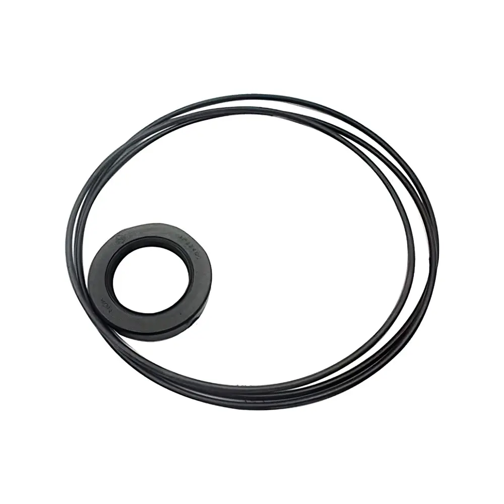 Buy Swing Motor Seal Kit For HYUNDAI R220-2