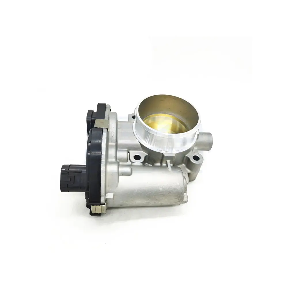 Throttle Body FO1RB0Y061 for Sail